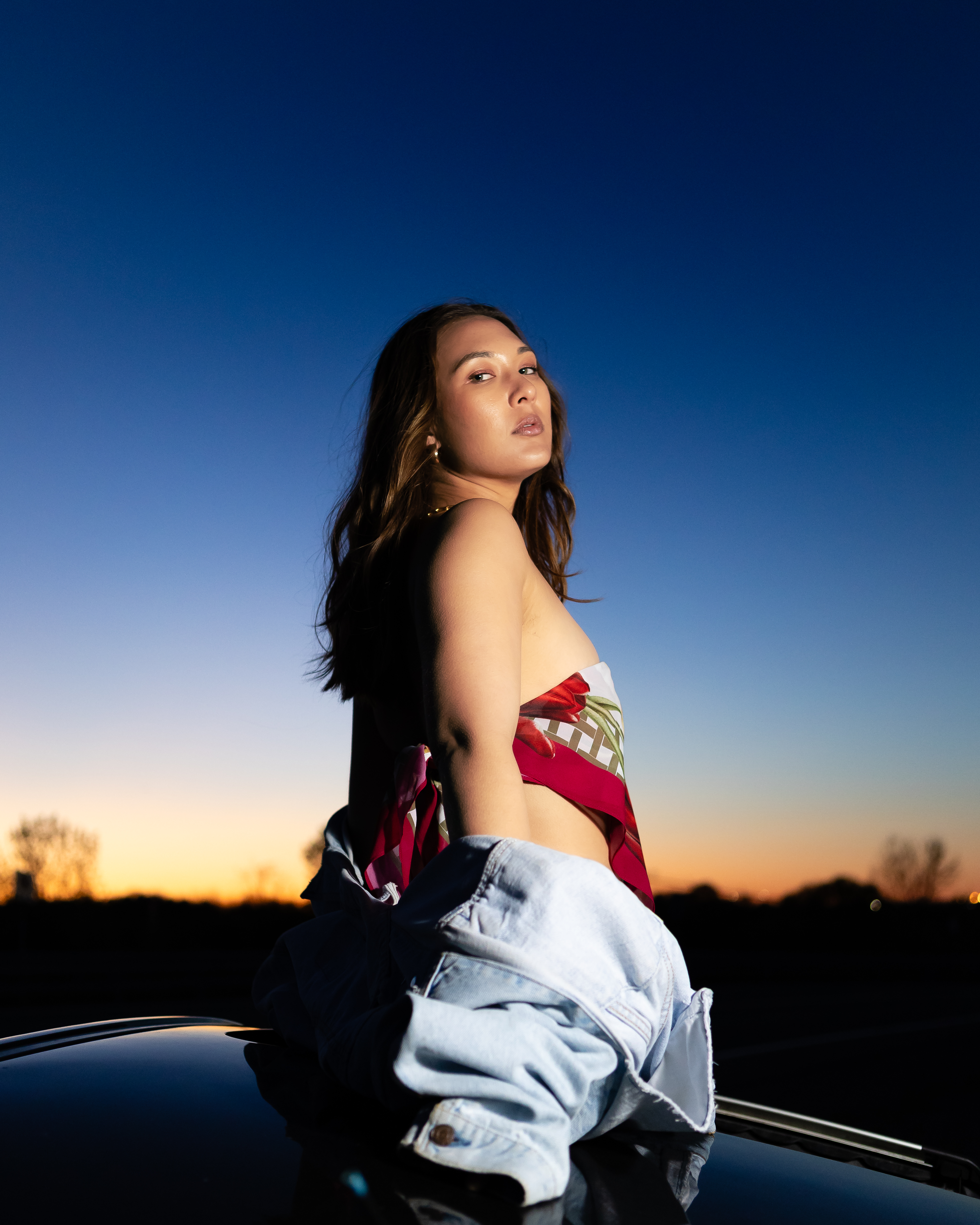 Portfolio Image from portfolio/Vic-Planes