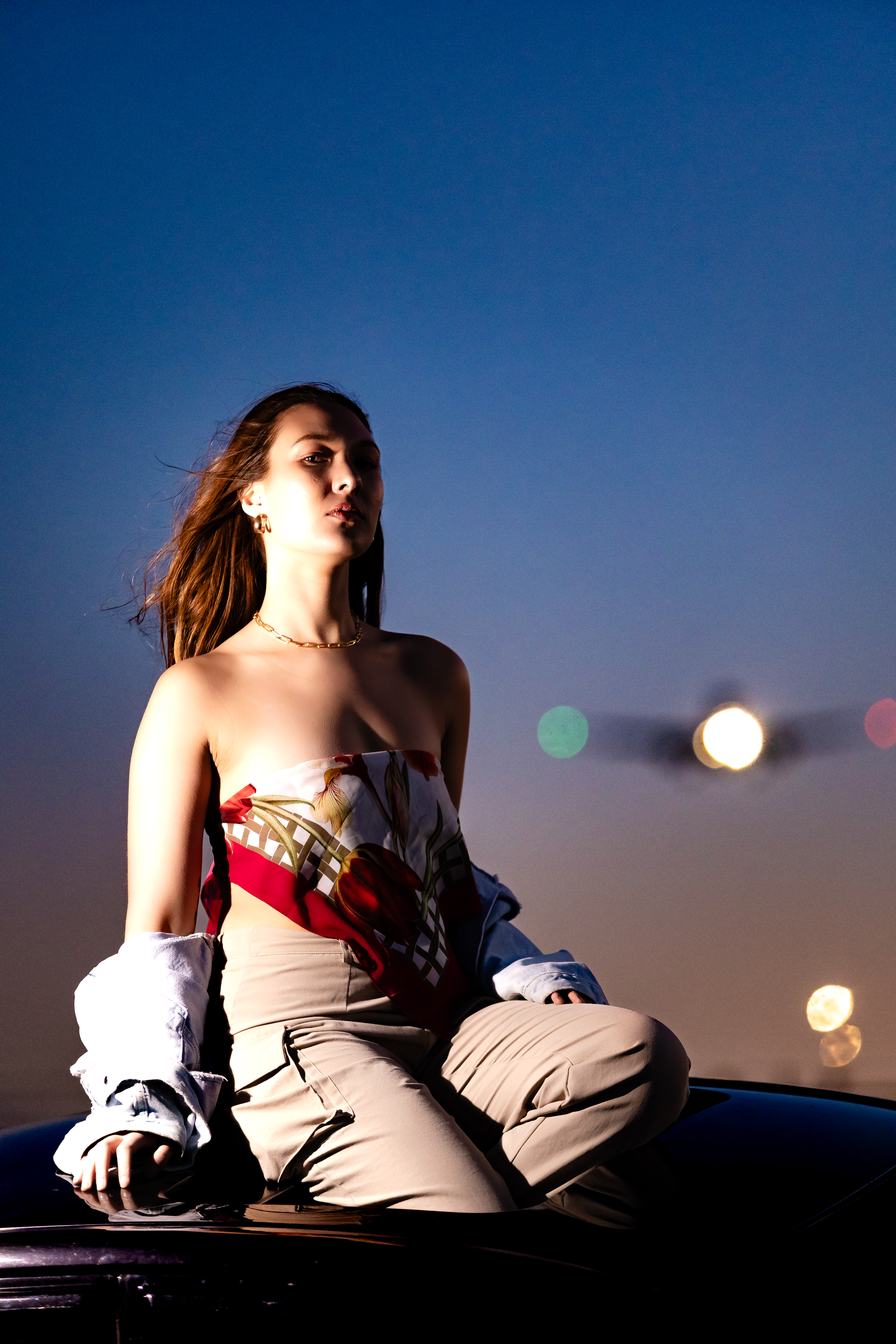 Portfolio Image from portfolio/Vic-Planes